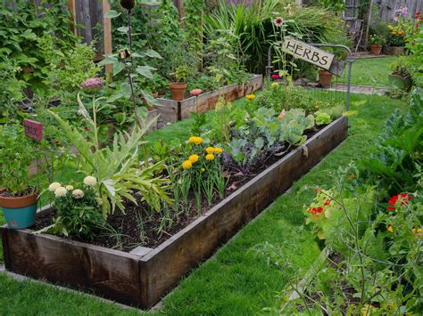 Home Gardening Ideas Images The Best Home Gardening Ideas For 2018 In ...