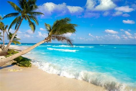 5 Best Playa Del Carmen Beaches in 2024 | Island Life Mexico