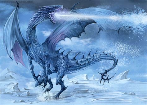 Dragons Ice