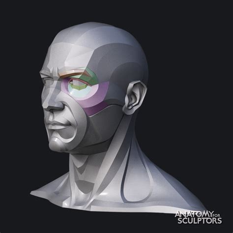 ArtStation - Male head 3D model block-out, Anatomy For Sculptors in ...