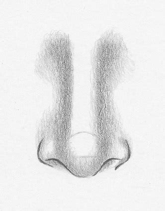 How to draw a nose from the front – 7 easy steps | RapidFireArt