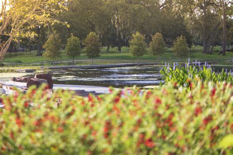 Brand New Houston Botanic Garden Brings an Outdoor Wonderland to ...