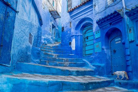 Related image | Morocco, Blue city morocco, Chefchaouen