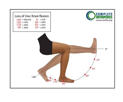 Why Is Range Of Motion Important? Should I Increase Or, 55% OFF