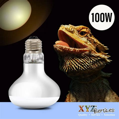 XYZReptiles 100 Watt Reptile Heat Lamp Bulb for Basking, Warming, UVB ...