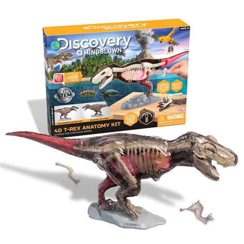 Buy Discovery Mindblown 4D T-Rex Anatomy Kit, Jurassic Dinosaur Puzzle ...