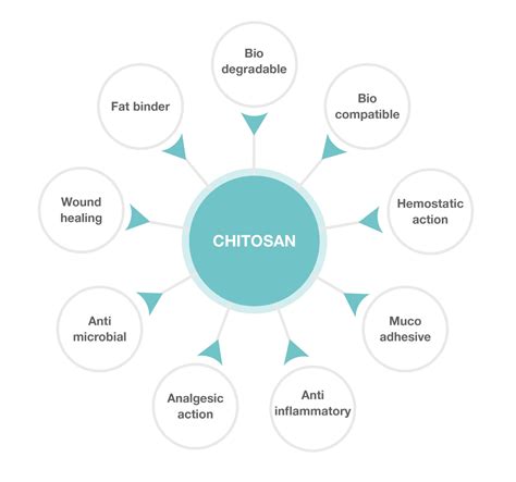 An Overview, Properties and Biomedical Applications of Chitosan