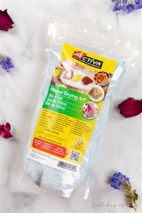 How to Use Silica Gel for Drying Flowers: Complete Guide