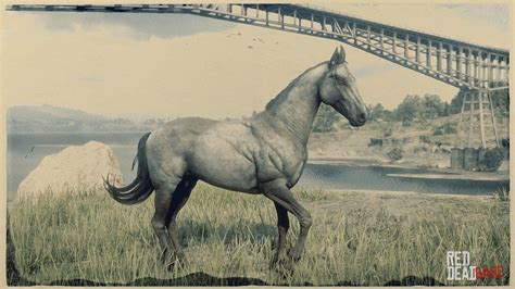 Silver Turkoman Horse | RDR2 & Online Horse Stats & Locations