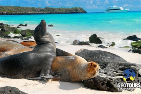 Islas Galápagos | Geotours | Adventure Travel Tour Agency in Baños ...