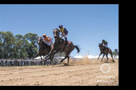 Moulamein Races Ready to Run