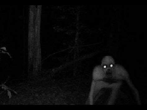 Real Monster Caught On Camera in Woods - Original Translated Video ...