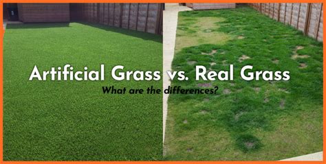 Artificial Grass vs. Real Grass - What you need to know - Bella Turf