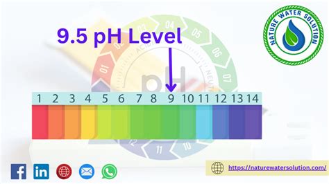 9.5 pH Water Benefits: Exploring the Astonishing the Alkaline Advantage