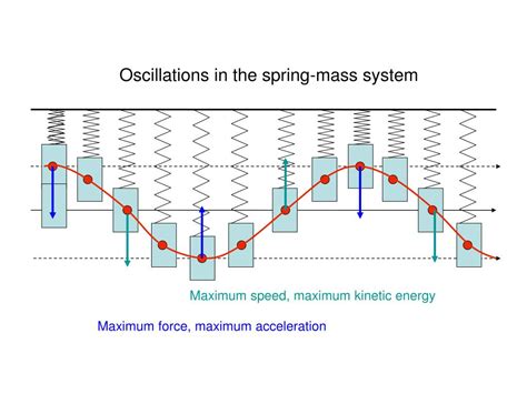 PPT - Oscillations in the spring-mass system PowerPoint Presentation ...