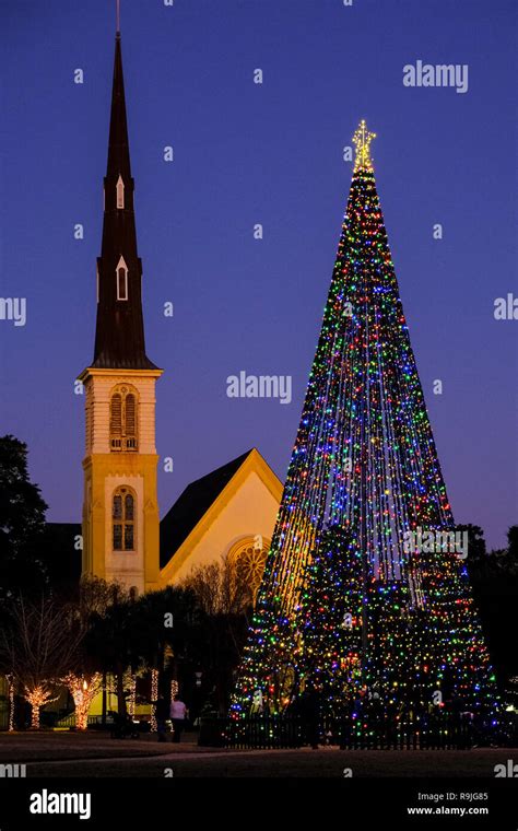 The Charleston City Christmas tree lights up at twilight in Marion ...