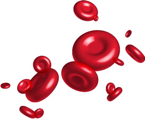 Red Blood Cell Png Clipart Red Blood Cell Clip Art Clip Art - Bank2home.com