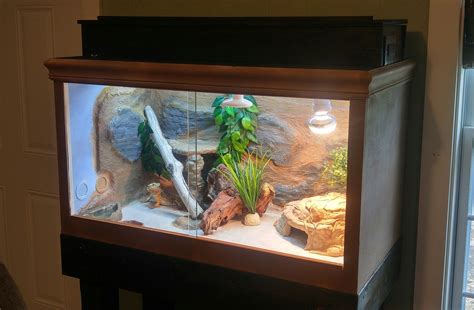 Bearded Dragon Habitat - RYOBI Nation Projects