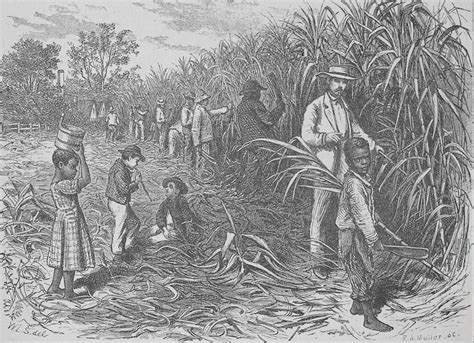 THE EVOLUTION OF THE SLAVE COMMUNITY — Evergreen Plantation