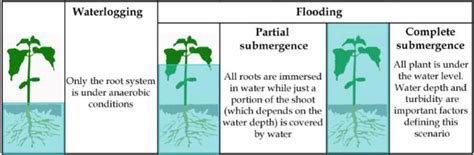 Factors Affecting Yield of Crops | IntechOpen