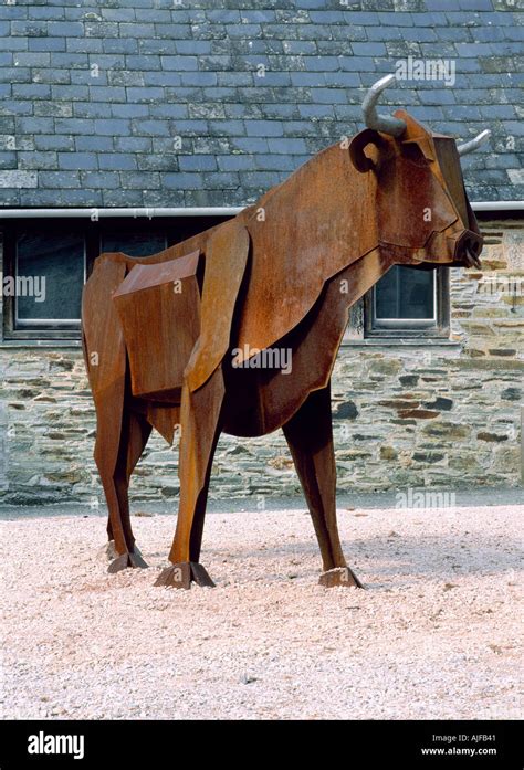 A rusted metal sculpture of a Devon Ox in the Ox Yard at Buckland Abbey ...