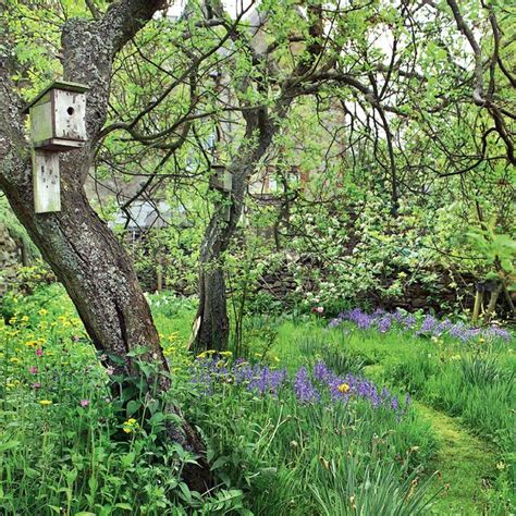 8 Design Ideas For A Woodland Garden – Garden Design Tips