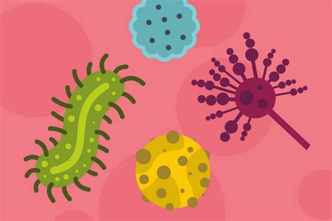 What Are Pathogens? | Healthtian