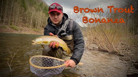 Spring Fly Fishing Pine Creek PA | Brown Trout Bonanza - YouTube