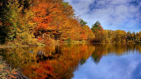 Reflection Of Trees And Cloudy Blue Sky On River Canada During Fall HD ...