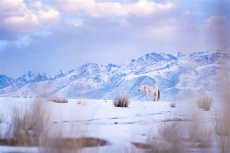 Winter travel in Kyrgyzstan: the ultimate guide | Lost With Purpose