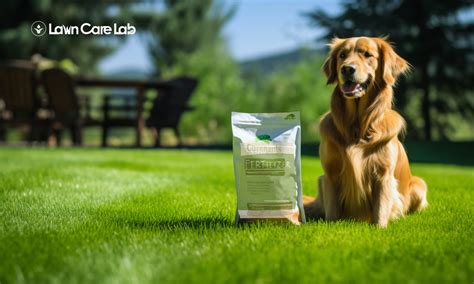 Discover Dog-Friendly Lawn Fertilizers: Safe and Effective Solutions ...