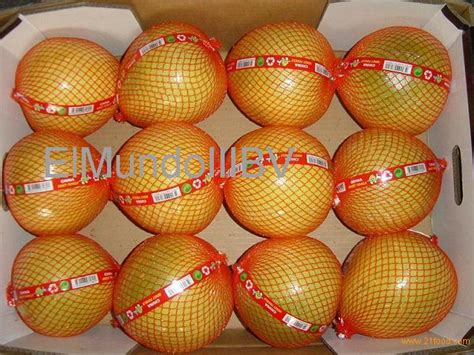 Fresh Pinghe Guanxi honey pomelo for European market,Netherlands pomelo ...