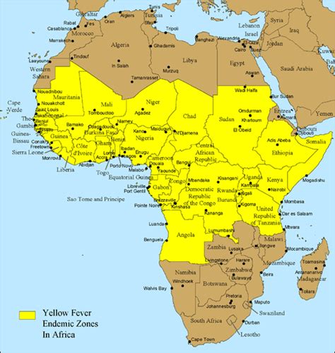 Flight Africa Blog: The yellow fever headache: Yellow Fever ...