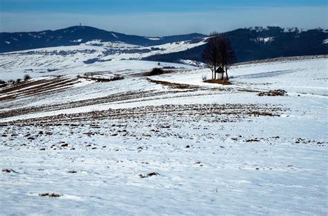 Winter landscape with melted snow 2175267 Stock Photo at Vecteezy