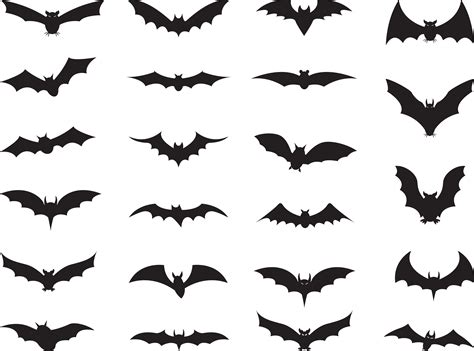 bats | Bats Wiki – Everything You Wanted to Know About Bats (Ever ...