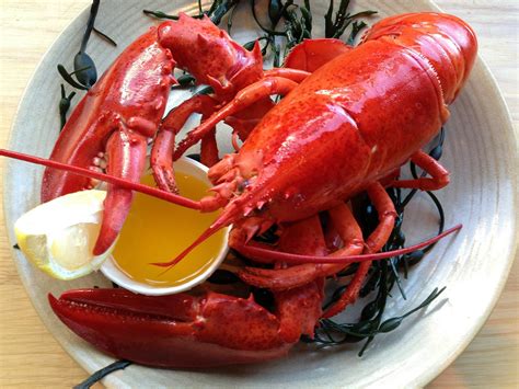 Lobster in Boston 2025 - Rove.me