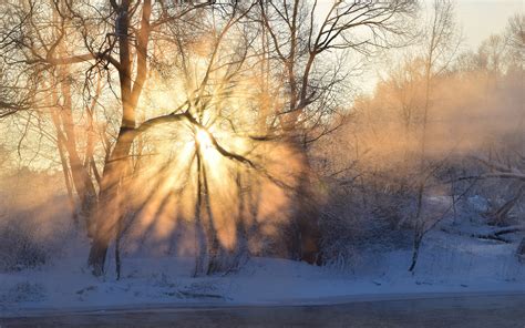 Winter, morning, sunrise, sun rays, fog, trees, snow wallpaper | nature ...