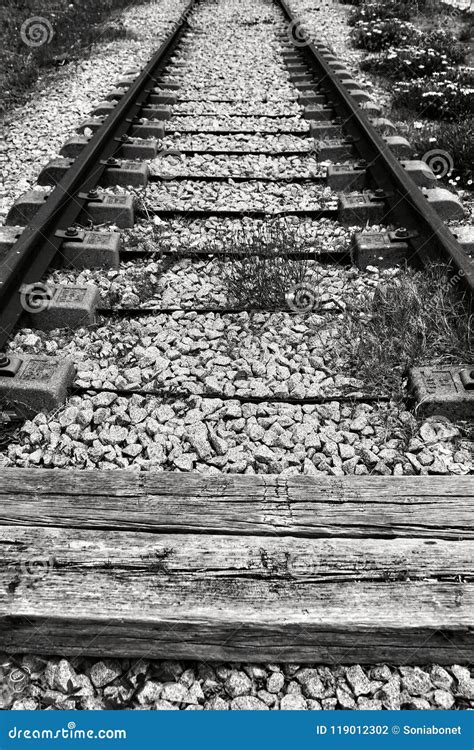 Old and Abandoned Train Tracks Stock Photo - Image of road, track ...