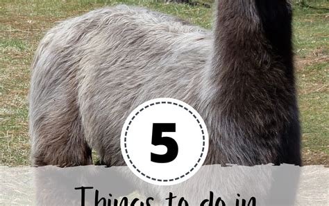 Deb's Days: Top 5 Things to do in Sisters, Oregon