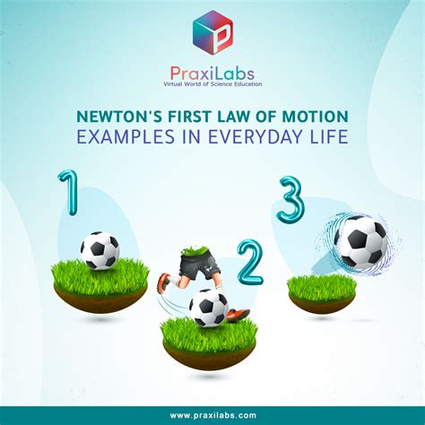 Newtons Laws Of Motion Examples In Everyday Life