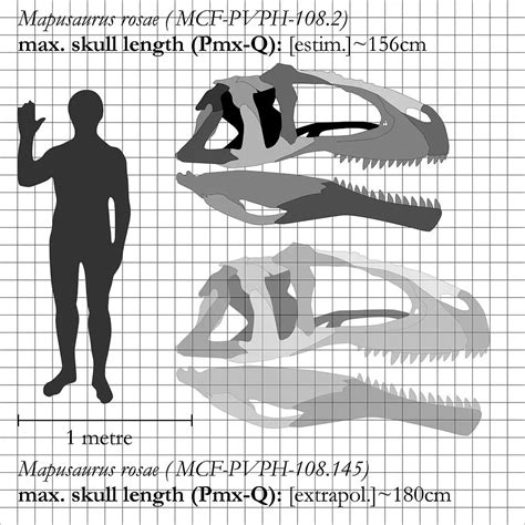 An Ultimate Guide to Mapusaurus: The Earth Lizard - Gage Beasley ...