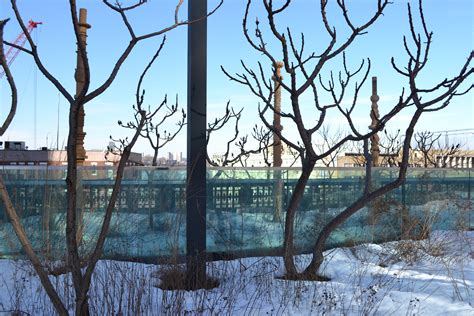 The Highline NYC in art & installations: Winter 2016 | Liv and Rob