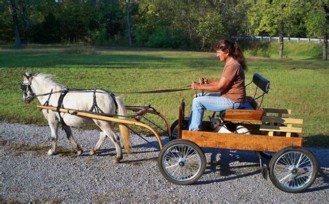 The Amazing EZ-Trainer | Horse wagon, Miniature horse, Mini horse cart