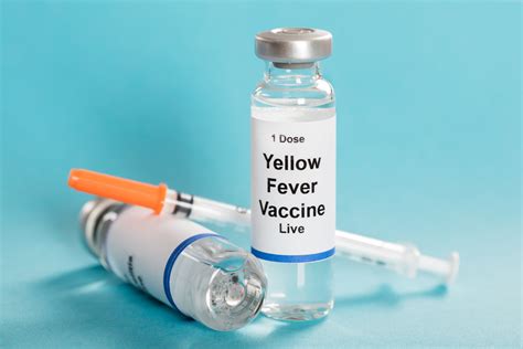 Yellow Fever Vaccine Philadelphia, PA | Executive Health Services