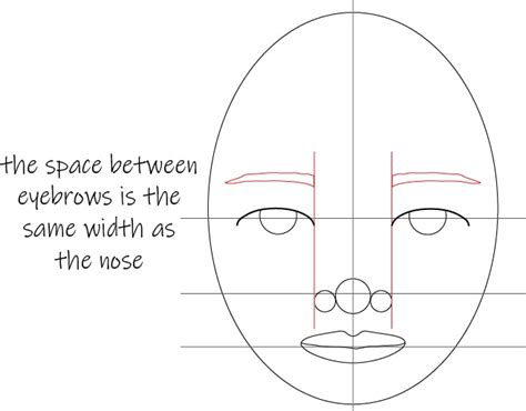 How To Draw Face Proportions - Engineercontest30