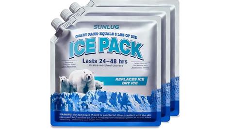 15 Best Cooler Ice Packs to Keep Your Beverages and Food Cold All Day ...