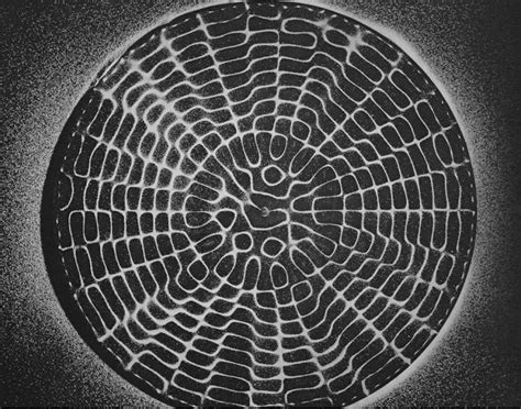 https://www.are.na/block/2380666 | Cymatics, Sacred geometry, Geometric ...