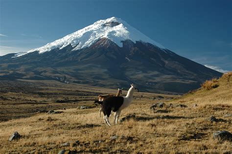 Two-day mountaineering tour to Cotopaxi Volcano. 2-day trip. UIAGM leader