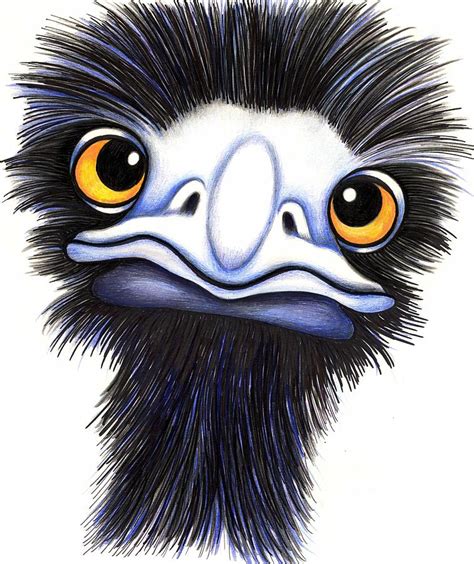 Emu Drawing at GetDrawings | Free download