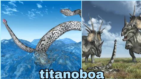 Anaconda vs titanoboa|fight between the giant monsters of this earth ...